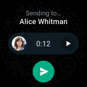 WhatsApp Messenger screenshot 2