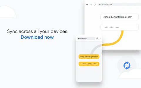 Google Chrome screenshot 10