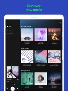 Spotify screenshot 14