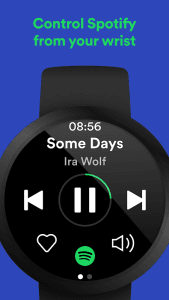 Spotify screenshot 9