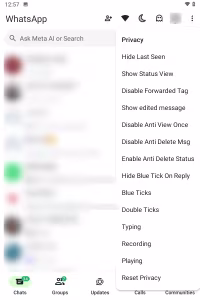 WhatsApp Plus screenshot 1