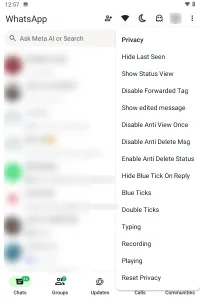 WhatsApp Plus screenshot 1