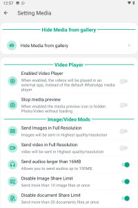 WhatsApp Plus screenshot 3