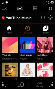 YouTube Music screenshot 15
