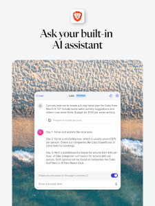 Brave Browser screenshot 11