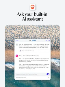 Brave Browser screenshot 11