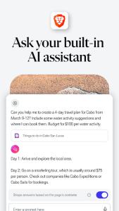 Brave Browser screenshot 4