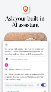 Brave Browser screenshot 4