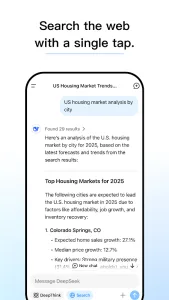 DeepSeek screenshot 1