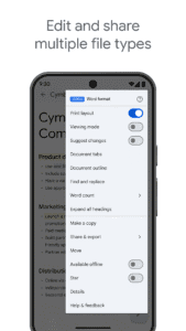 Google Docs screenshot 2