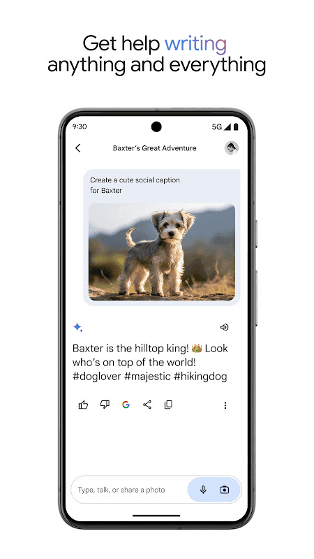 Google Gemini screenshot