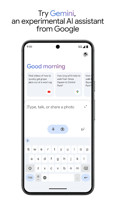 Google Gemini screenshot