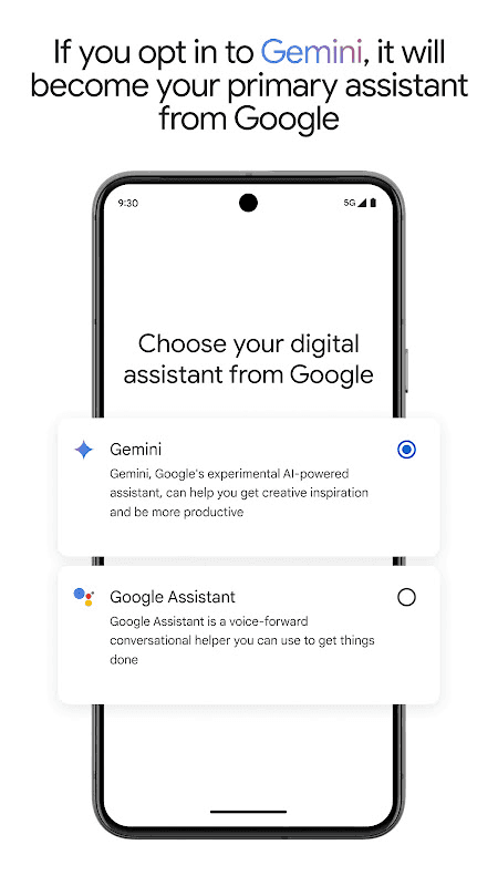 Google Gemini screenshot