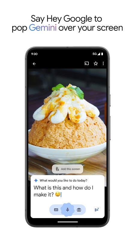 Google Gemini screenshot