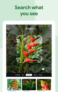 Google Photos screenshot 10