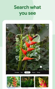 Google Photos screenshot 10