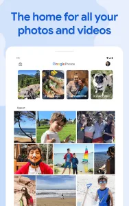 Google Photos screenshot 8