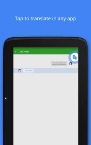 Google Translate screenshot 11