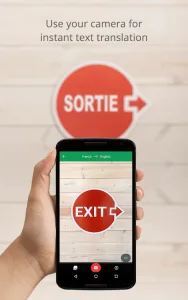 Google Translate screenshot 12