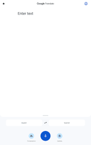 Google Translate screenshot 13