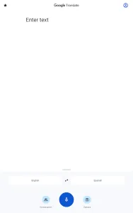 Google Translate screenshot 13