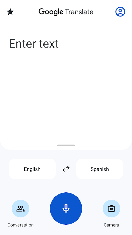 Google Translate screenshot