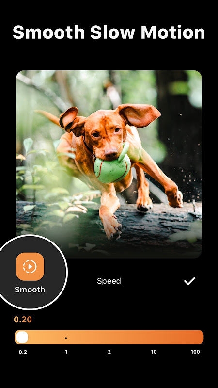 InShot - Video Editor & Maker screenshot