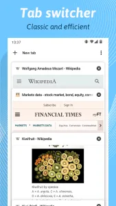 Kiwi Browser screenshot 3