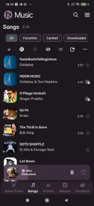 RiMusic screenshot 4