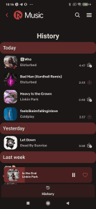 RiMusic screenshot 6