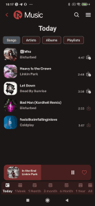 RiMusic screenshot 7