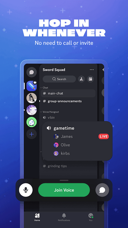 Discord screenshot