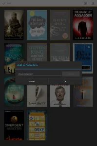 Kindle screenshot 2