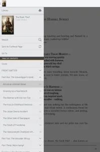 Kindle screenshot 6