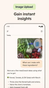 Microsoft Copilot screenshot 5