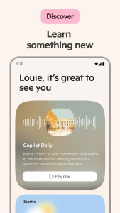 Microsoft Copilot screenshot 6
