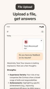 Microsoft Copilot screenshot 8