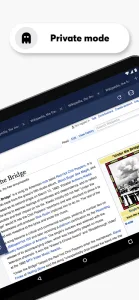 Opera Browser screenshot 6