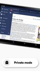 Opera Browser screenshot 9