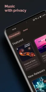 Spotube screenshot 1