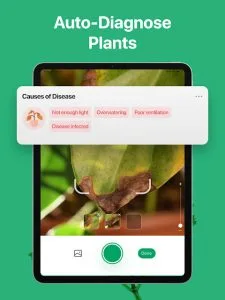 PictureThis screenshot 12