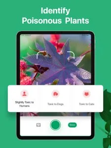 PictureThis screenshot 14