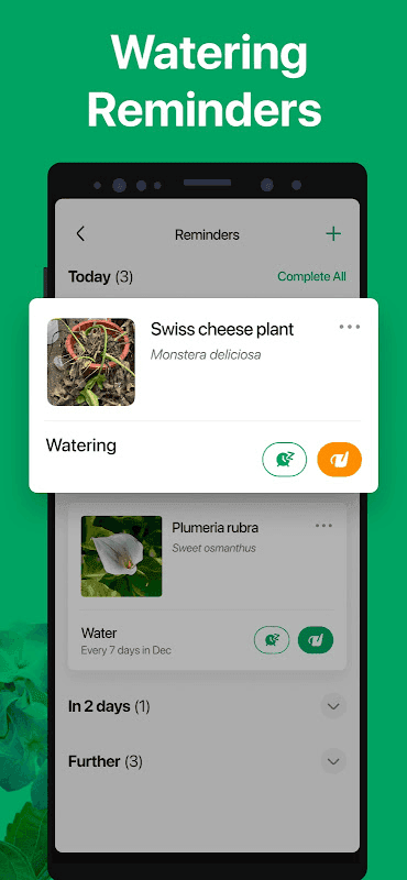 PictureThis screenshot