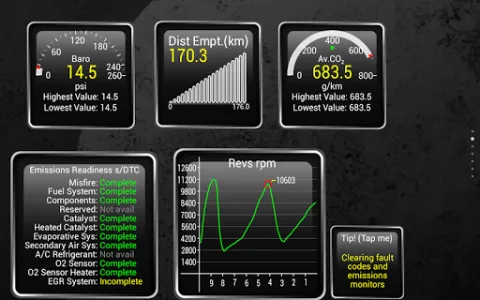 Torque Pro (OBD 2 & Car) screenshot 1