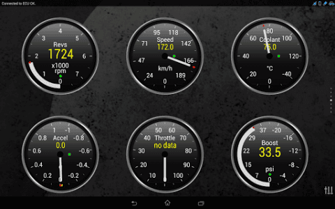 Torque Pro (OBD 2 & Car) screenshot 12