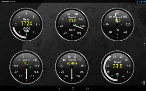 Torque Pro (OBD 2 & Car) screenshot 12