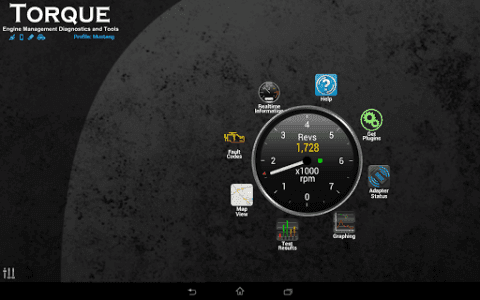 Torque Pro (OBD 2 & Car) screenshot 14
