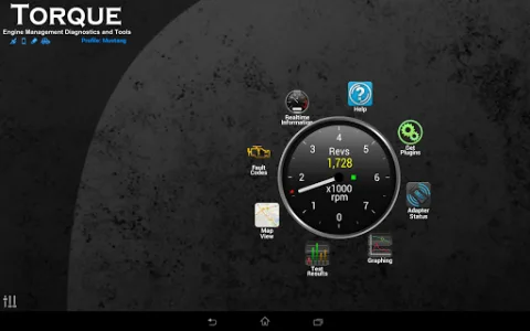 Torque Pro (OBD 2 & Car) screenshot 14