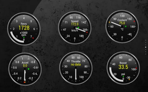 Torque Pro (OBD 2 & Car) screenshot 7