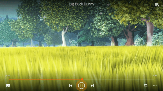 VLC screenshot 25